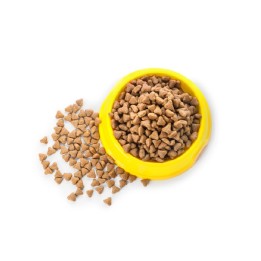 Miska plastikowa – Żółta